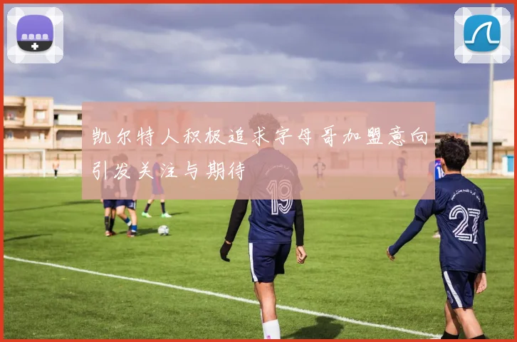 凯尔特人积极追求字母哥加盟意向引发关注与期待