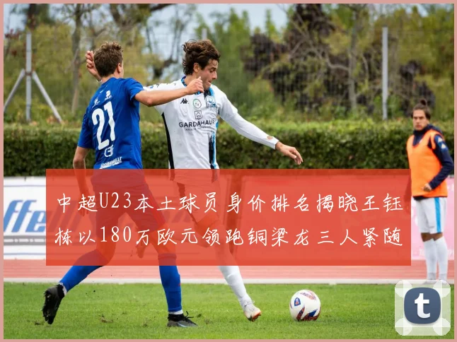 中超U23本土球员身价排名揭晓王钰栋以180万欧元领跑铜梁龙三人紧随其后